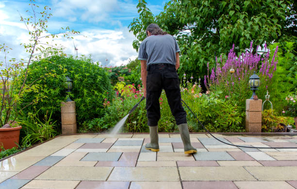 Best Winterizing Services  in Balfour, NC